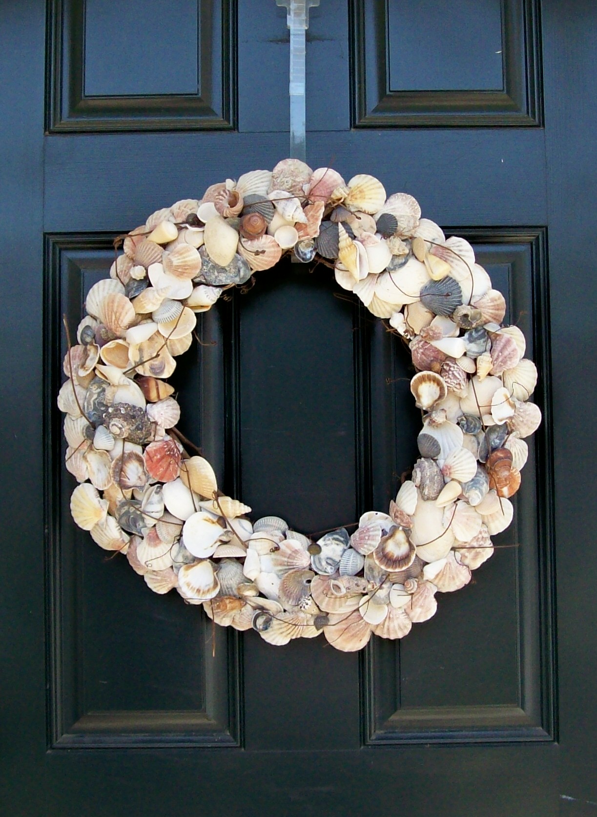 Seashell wreath